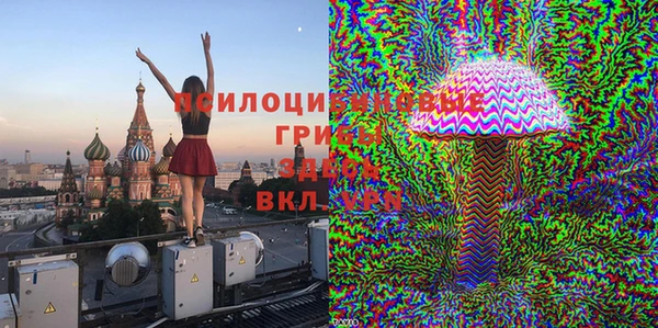 соль ск Краснослободск