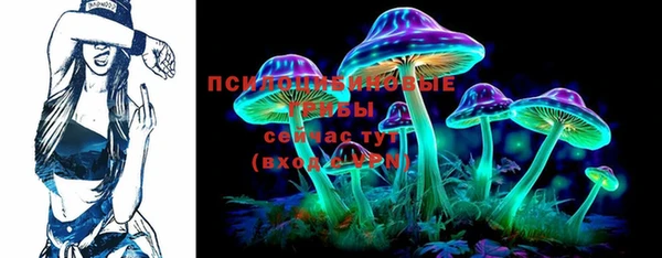 соль ск Краснослободск